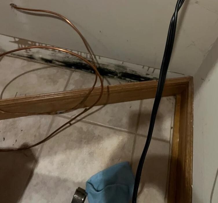 Images The Mold Pros of Texas