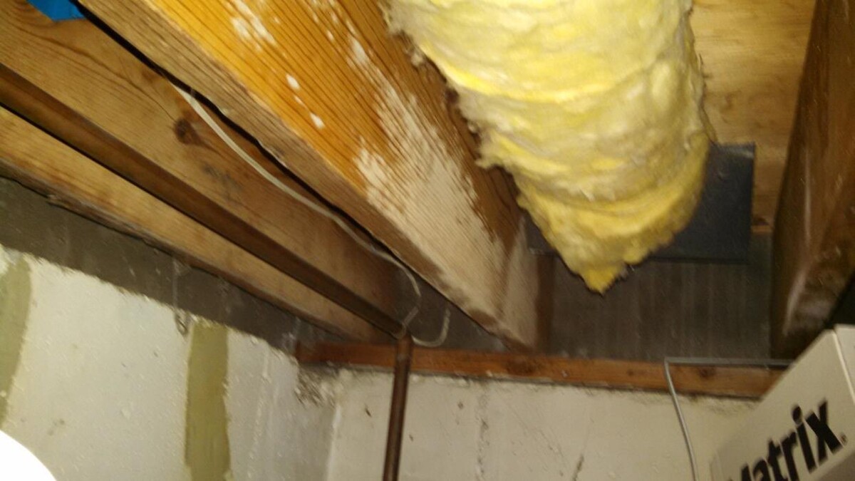 Images The Mold Pros of Texas