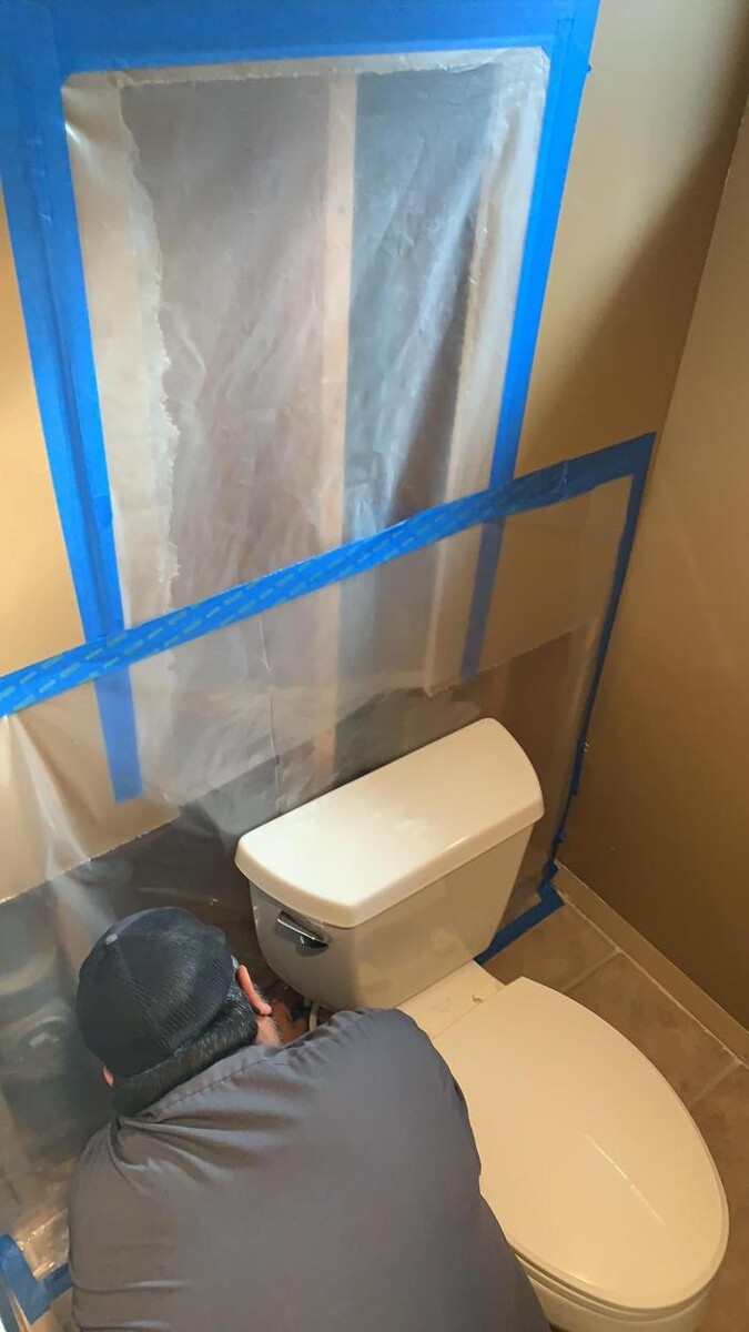 Images The Mold Pros of Texas