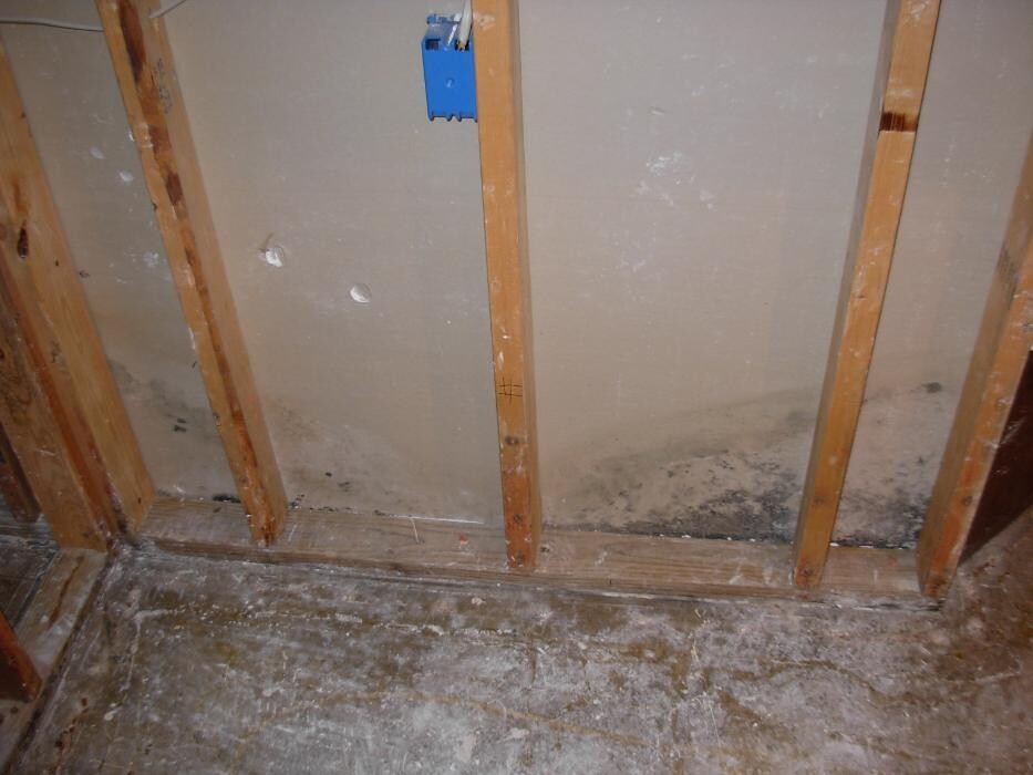 Images The Mold Pros of Texas