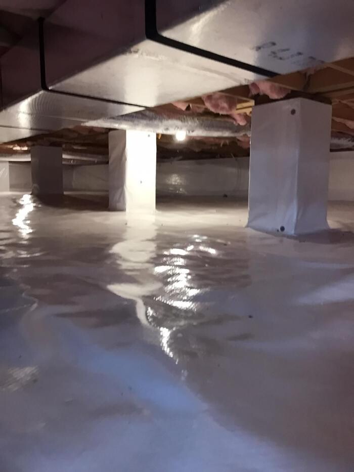 Images The Mold Pros of Indiana