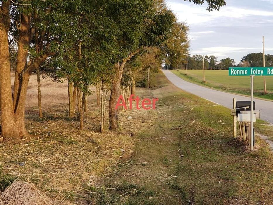 Images Southern Land Services LLC