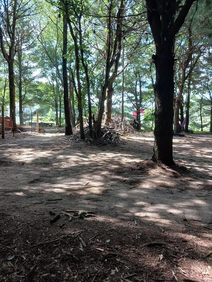 Images Shades of Lavender Farm