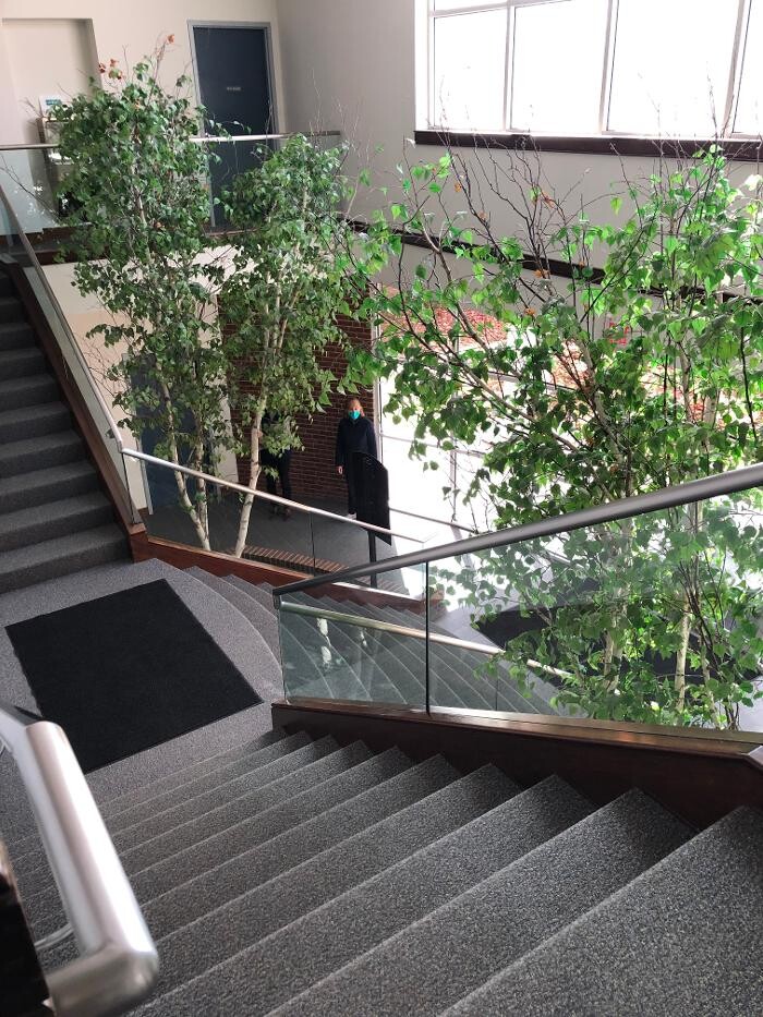 Images Communicators Group