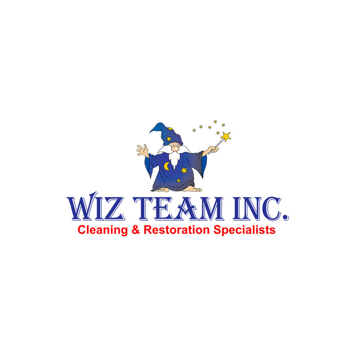 Wiz Team Inc. Logo