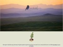 Website Screenshot Rainbird