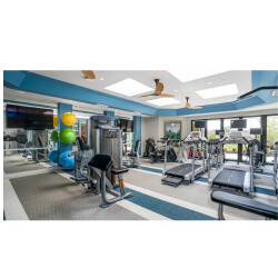 Images All Seasons Ann Arbor