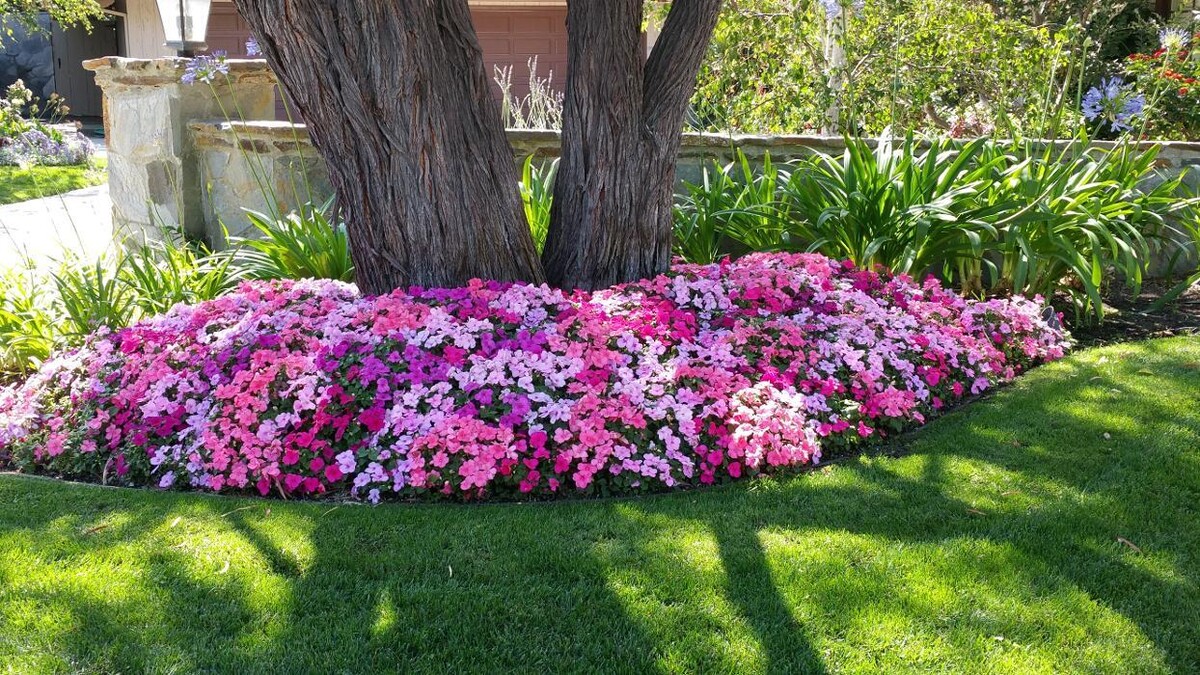 Images Alma Gardening Company Inc.