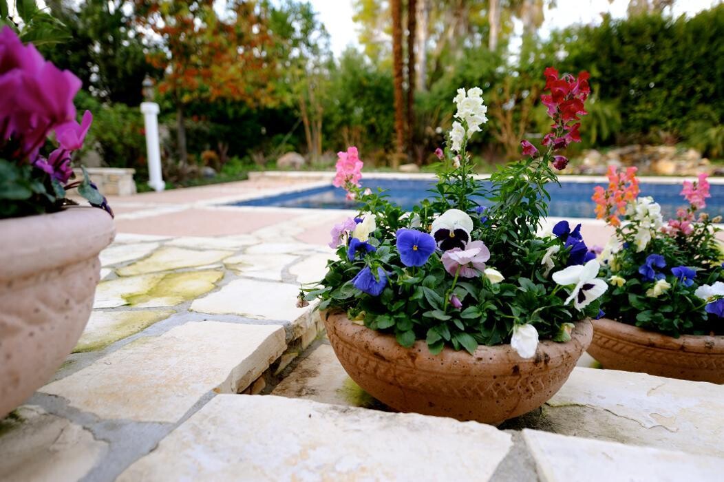 Images Alma Gardening Company Inc.