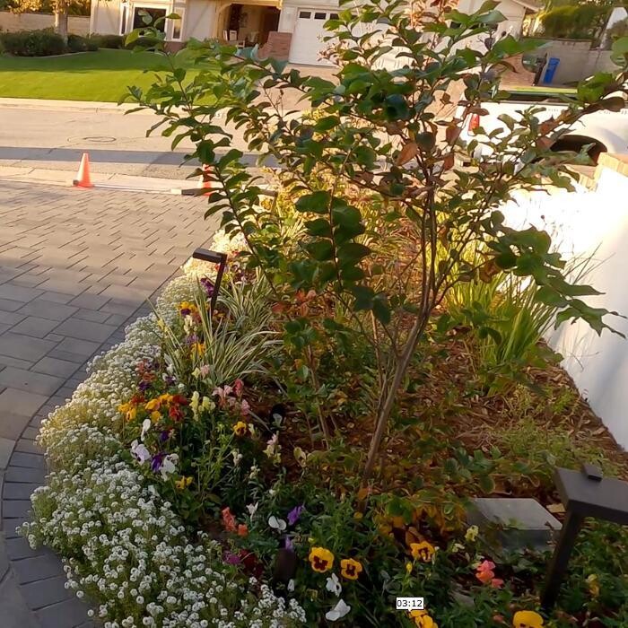 Images Alma Gardening Company Inc.