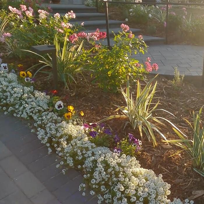 Images Alma Gardening Company Inc.