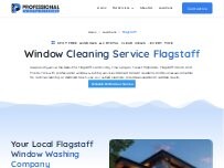 Website Screenshot Professional Window Cleaning