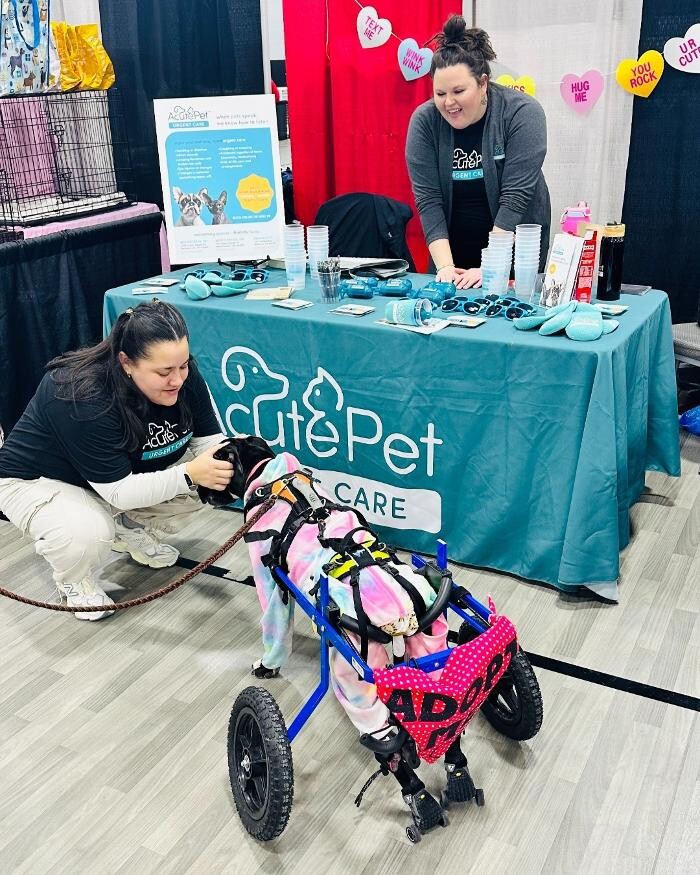 Images AcutePet Bellevue KY