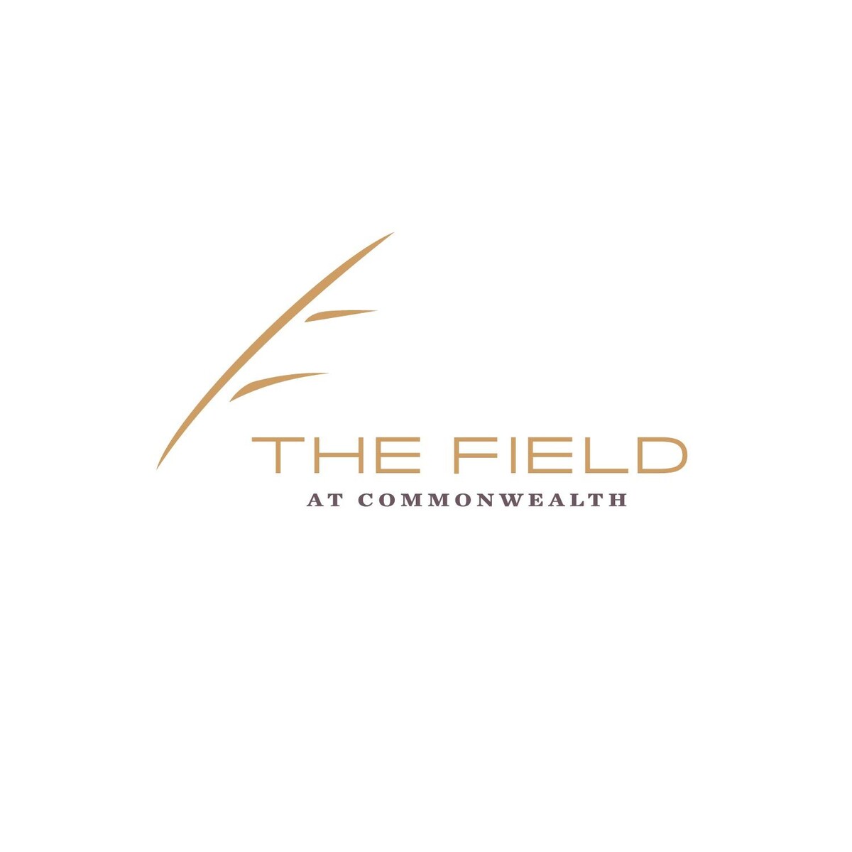 The Field at Commonwealth Logo