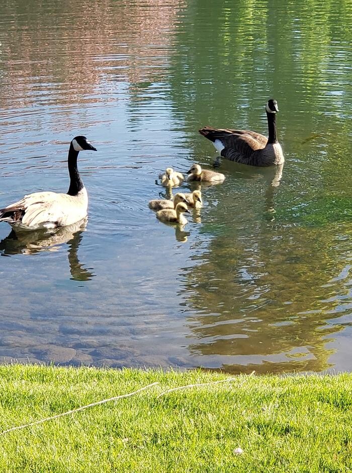 Images Abmont Realty Group