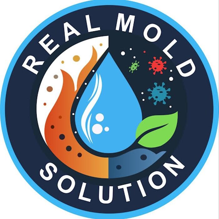 Real Mold Solution Logo