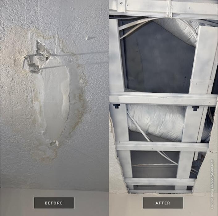 Images Real Mold Solution