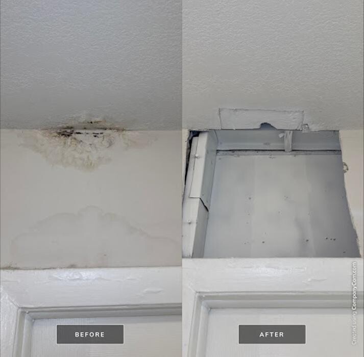 Images Real Mold Solution