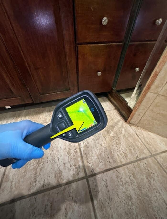 Images Real Mold Solution