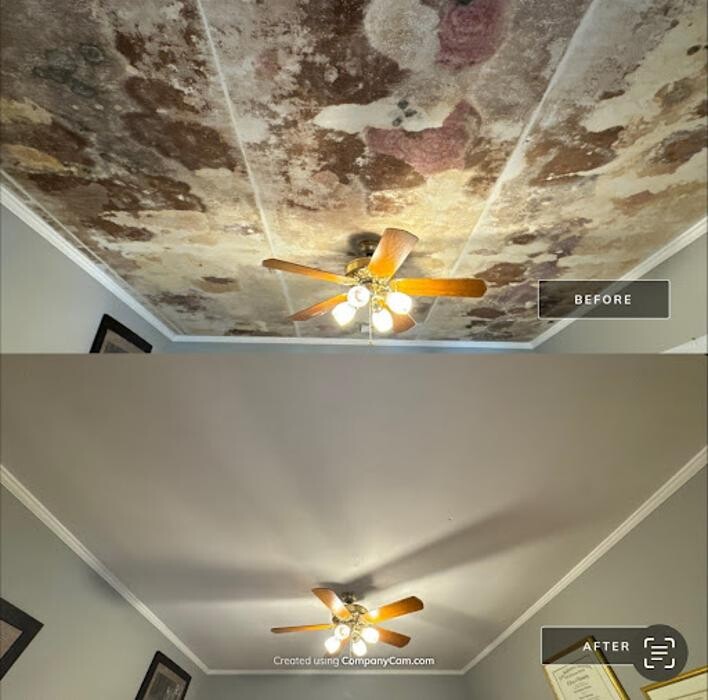 Images Real Mold Solution