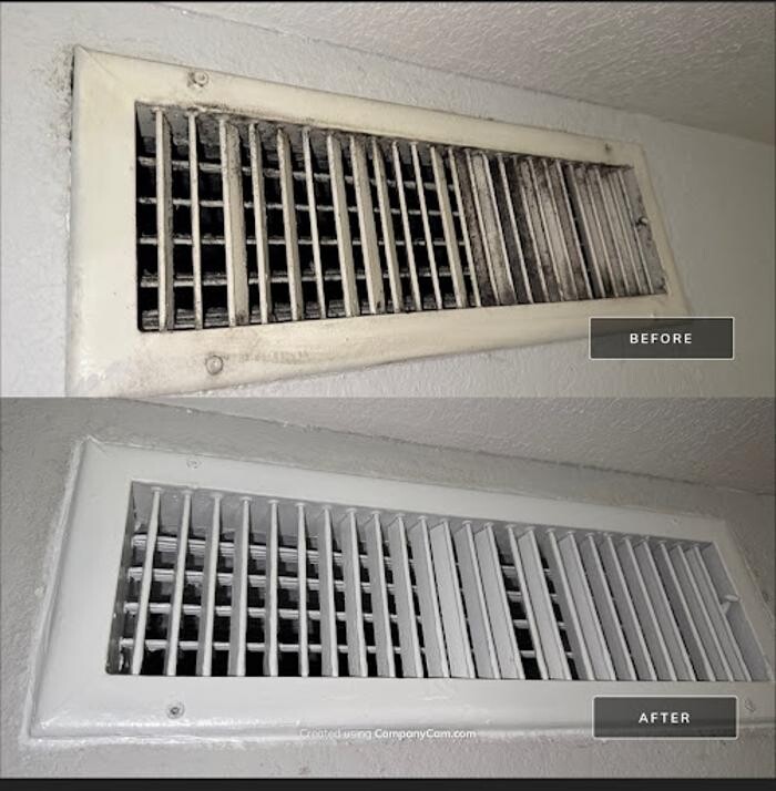 Images Real Mold Solution