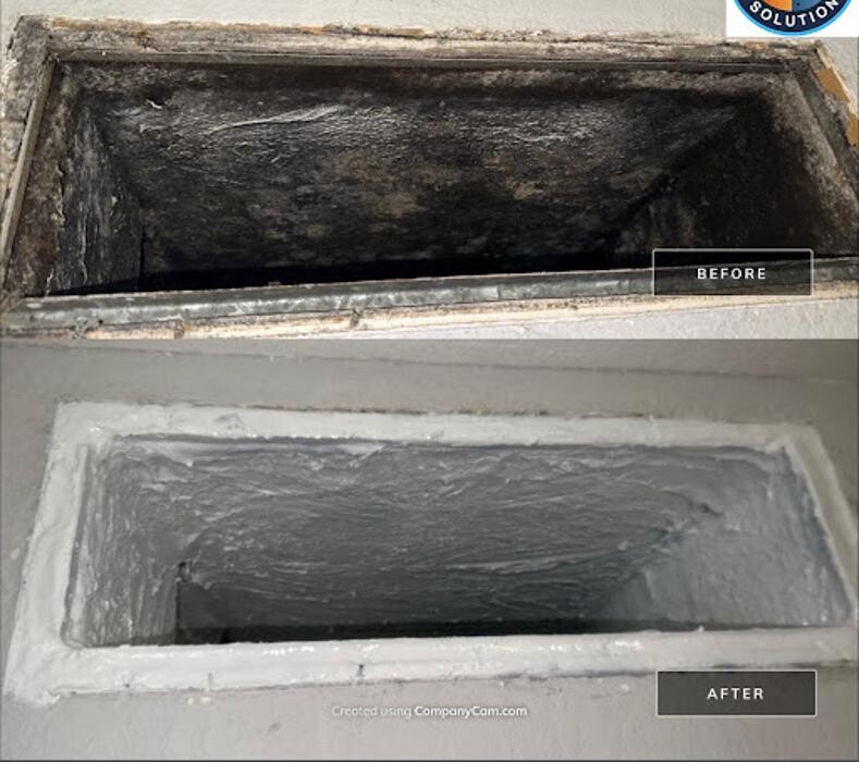 Images Real Mold Solution