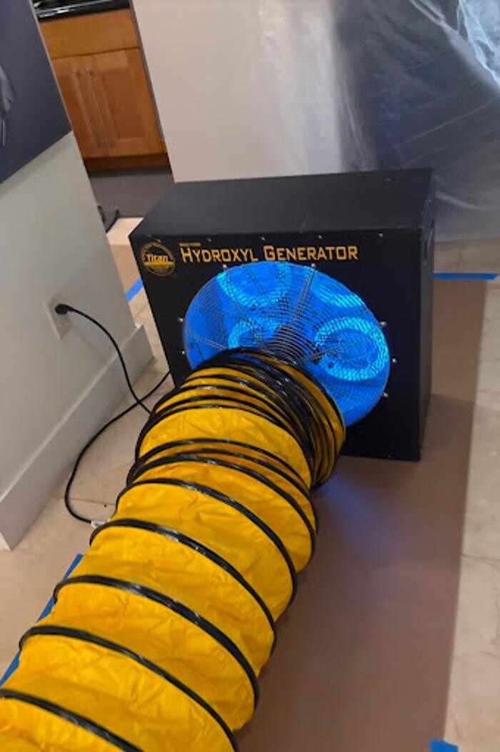 Images Real Mold Solution
