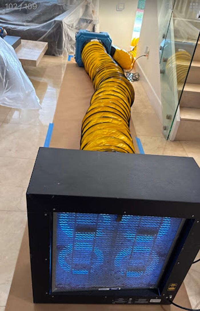 Images Real Mold Solution