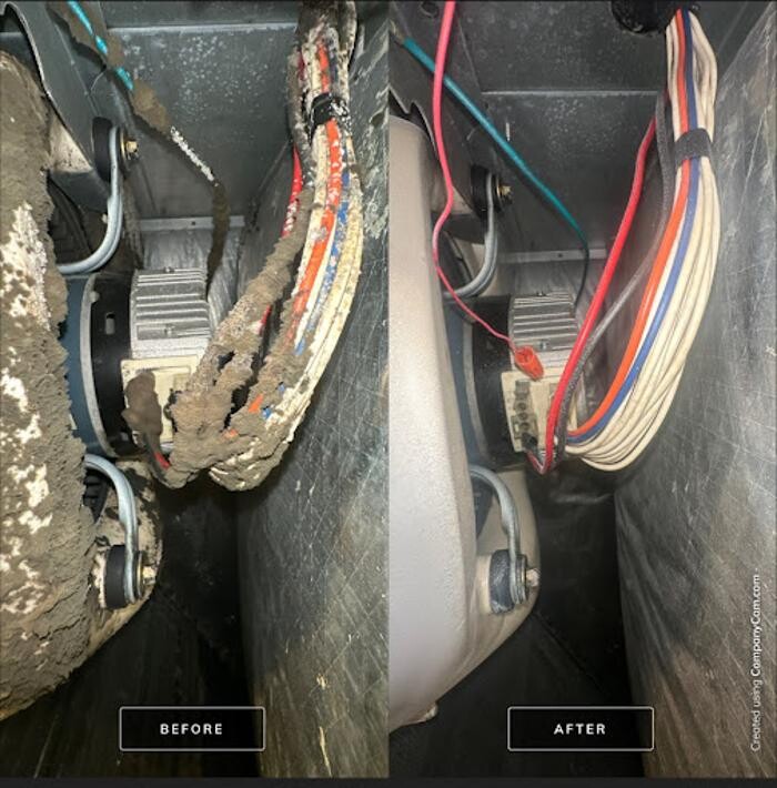 Images Real Mold Solution