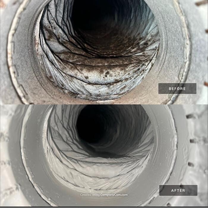 Images Real Mold Solution