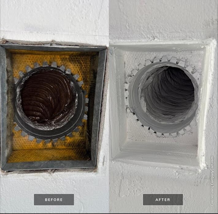 Images Real Mold Solution