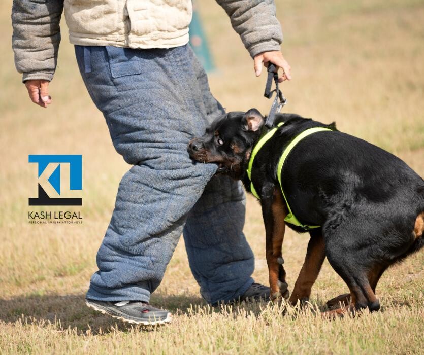 Images Kash Legal Group - Cupertino Personal Injury and Accident Lawyers