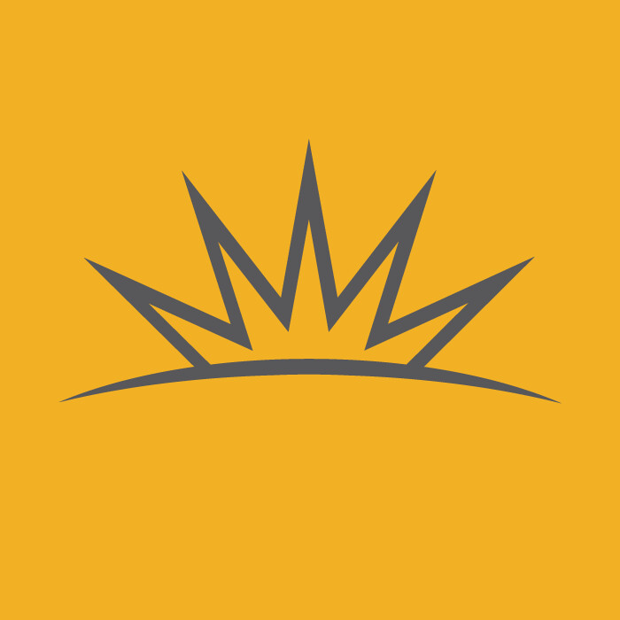 New Century Hospice Logo