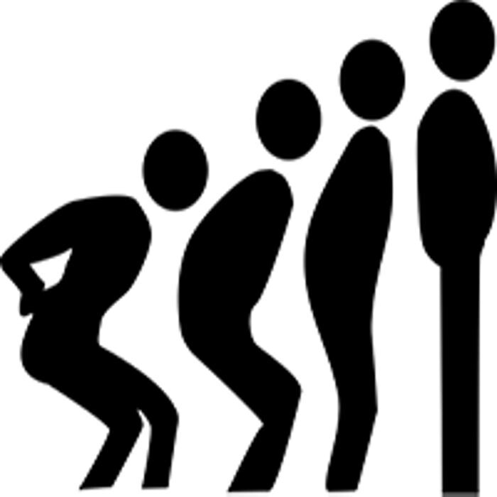 Images Swink Chiropractic Wellness