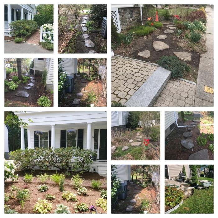Images Twin Oaks Tree Care