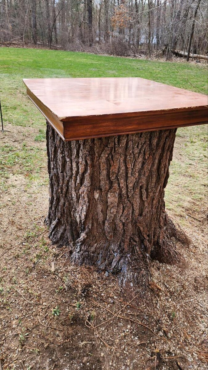Images Twin Oaks Tree Care