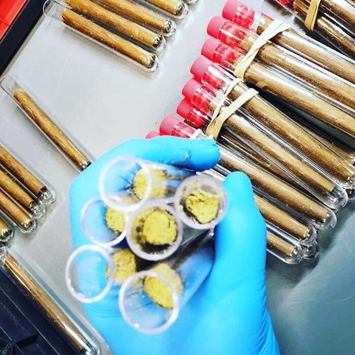 Images JARS Cannabis El Mirage