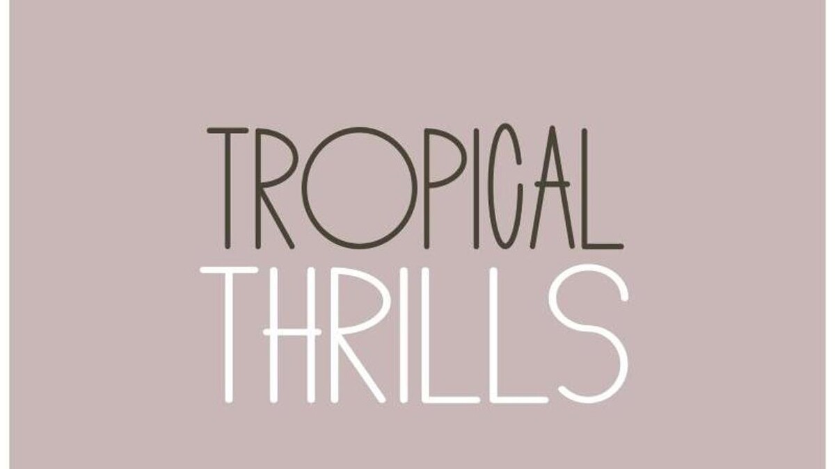 Images Tropical Thrills Inflatables of Sarasota