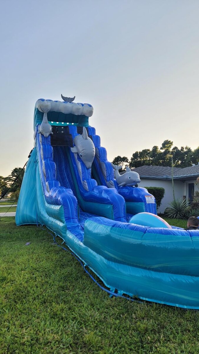 Images Tropical Thrills Inflatables of Sarasota