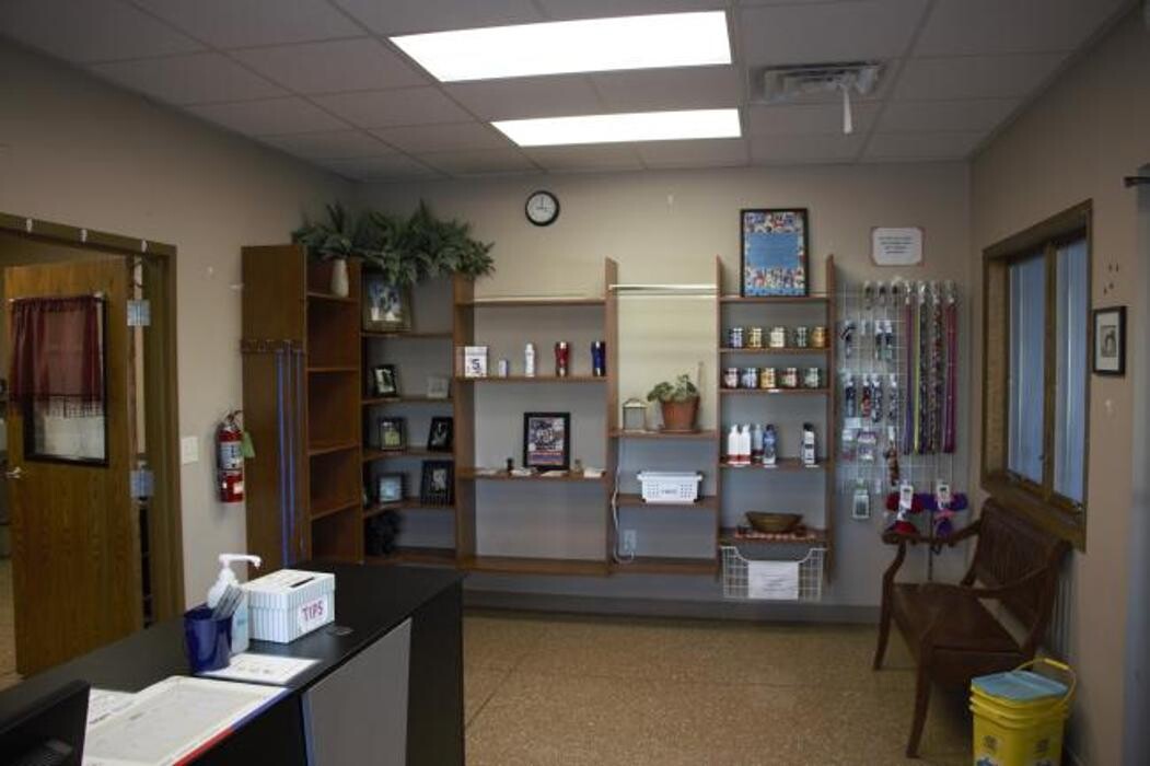 Images Boarding and Grooming at Westside Family Pet Clinic