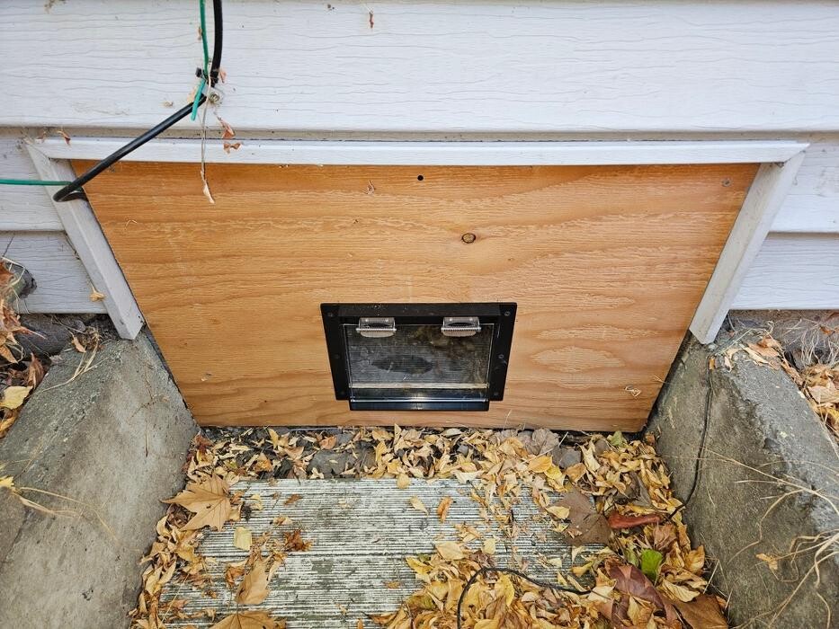 Images Guardian Wildlife Exclusion Specialists