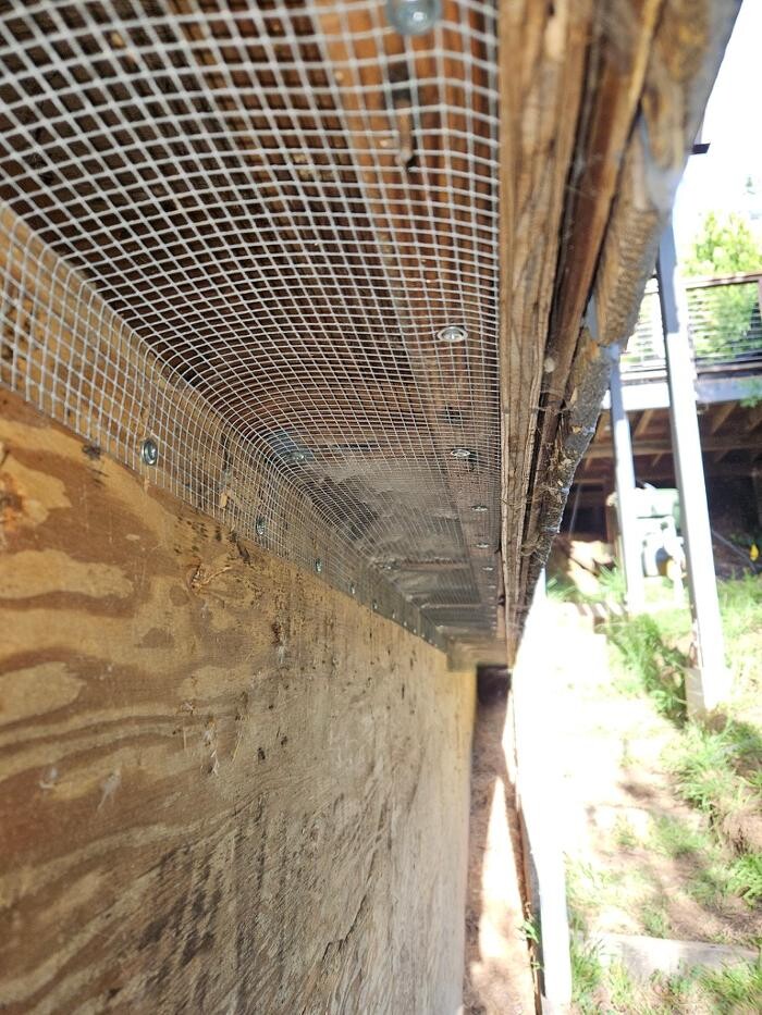 Images Guardian Wildlife Exclusion Specialists