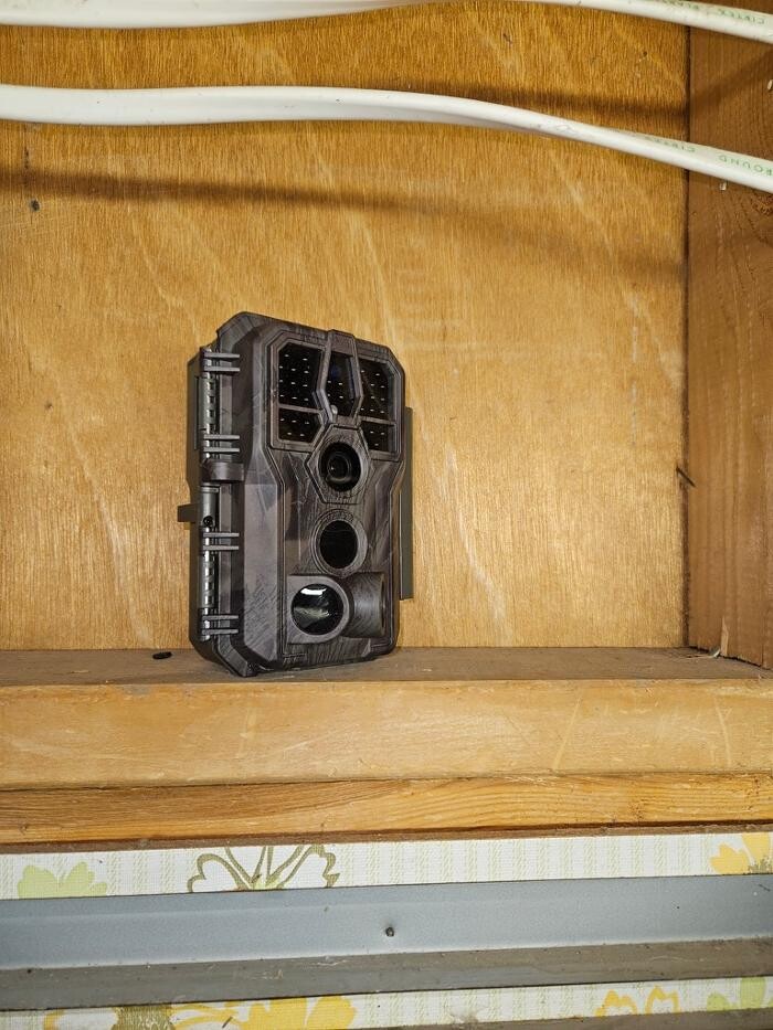 Images Guardian Wildlife Exclusion Specialists