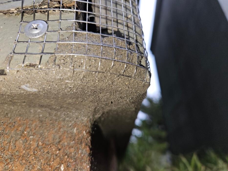 Images Guardian Wildlife Exclusion Specialists