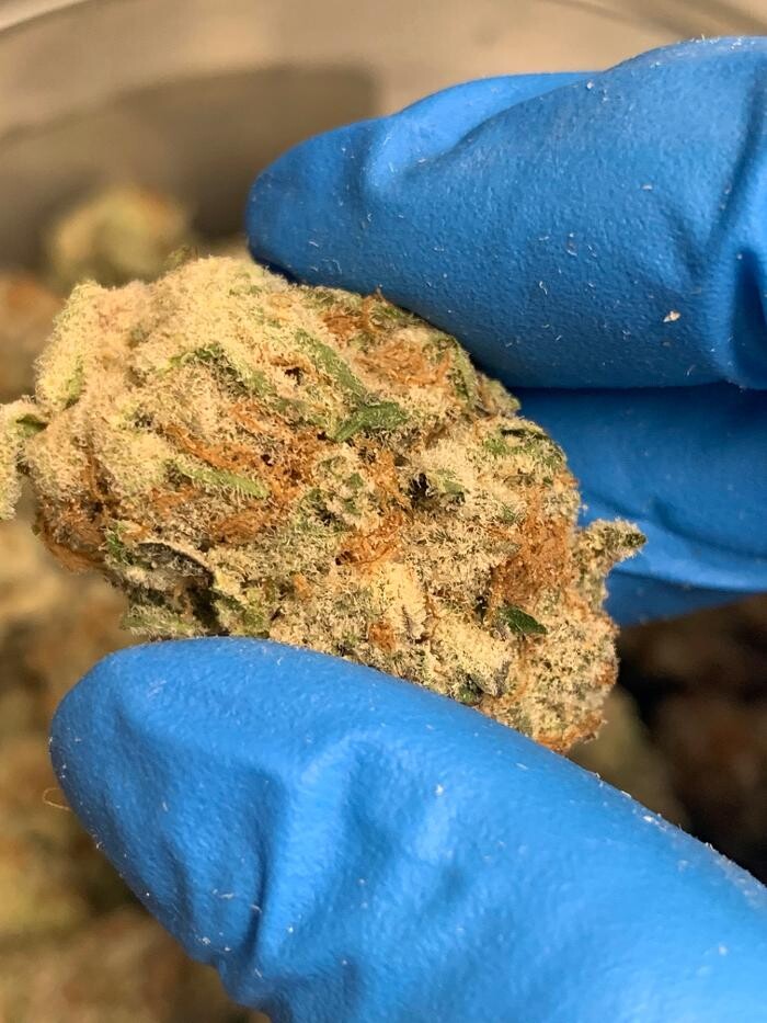 Images JARS Cannabis Phoenix Metrocenter