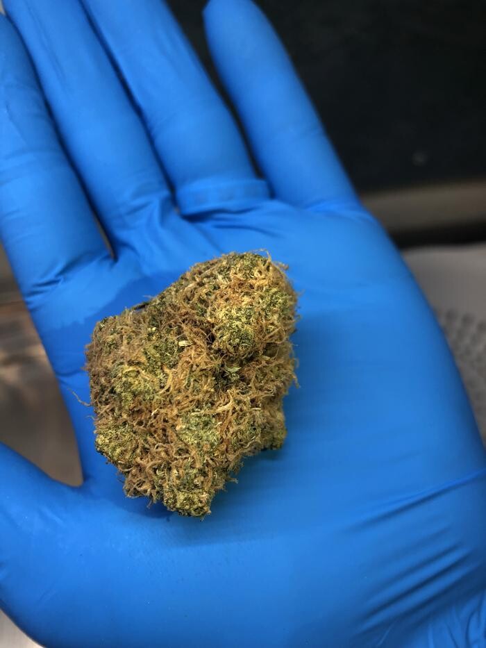Images JARS Cannabis Phoenix Metrocenter