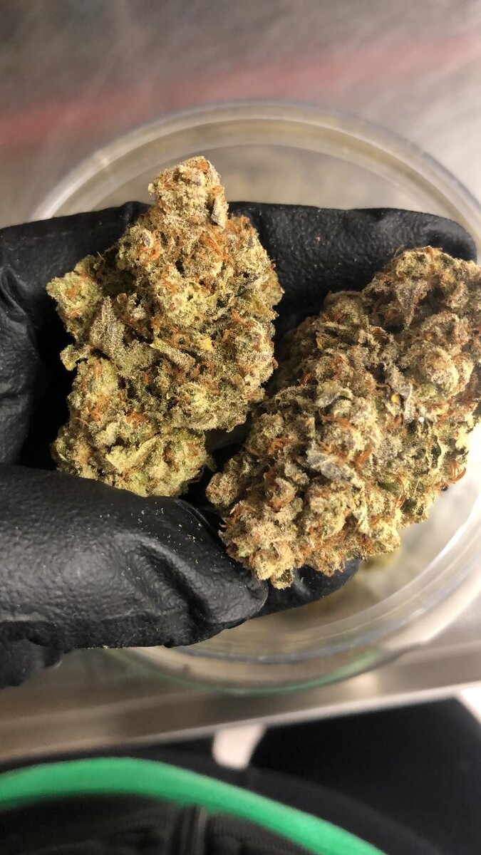Images JARS Cannabis Phoenix Metrocenter