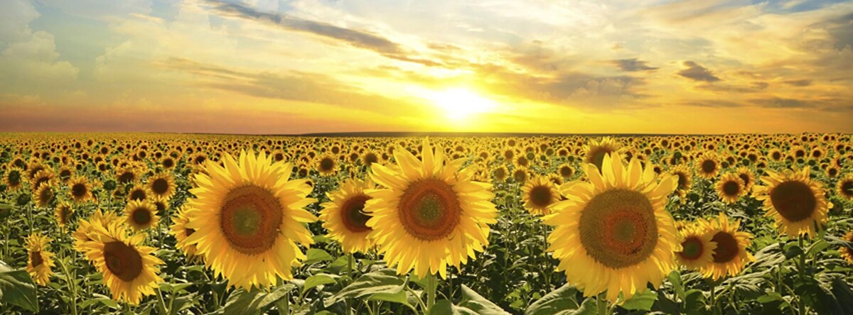 Images Frontier Community Credit Union