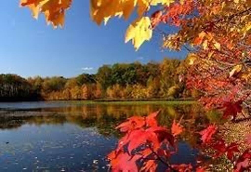 Images Kathryn Ward Grabowy, Realtor