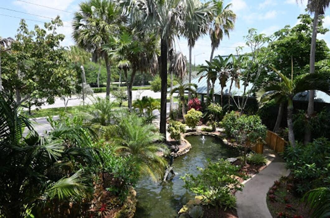 Images InSkin Solutions